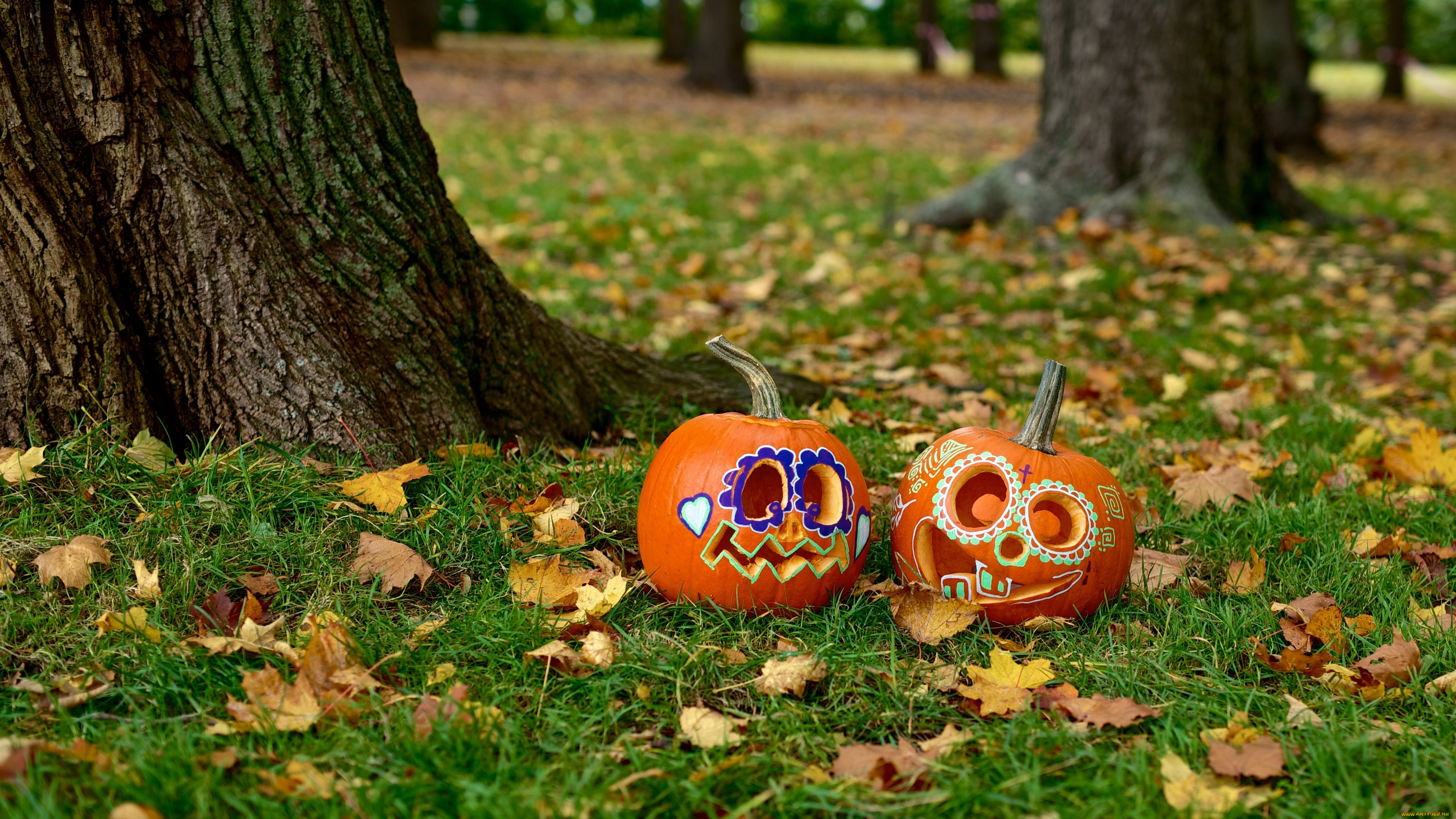 , , , , , , , , , , , , halloween, , 